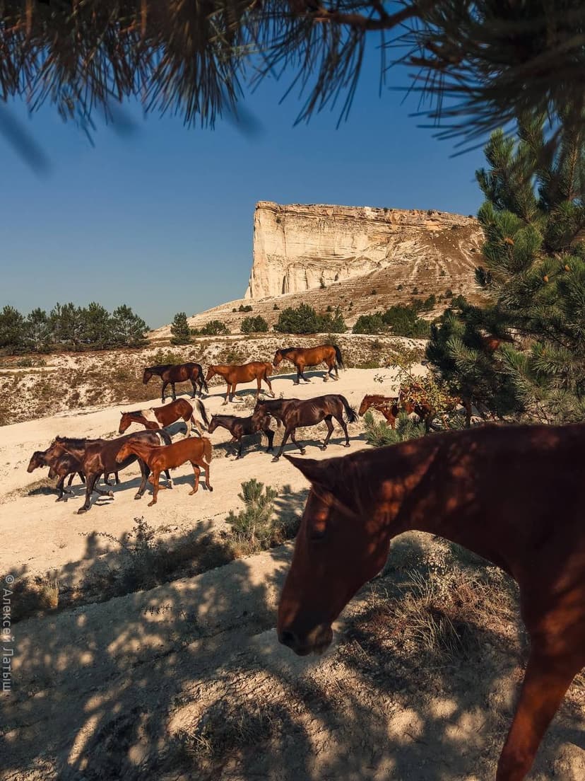 post-cmeudddjg001gnb64wi5hlm53-0