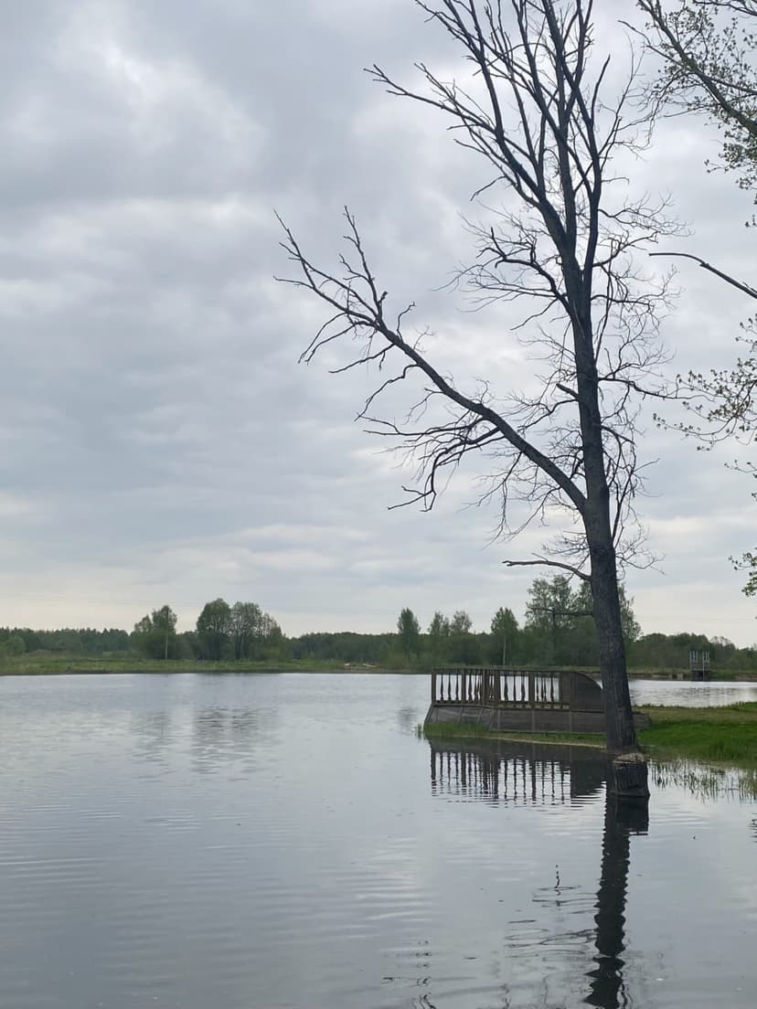 post-cmc6qq2do00evnbftiotjxvvx-0