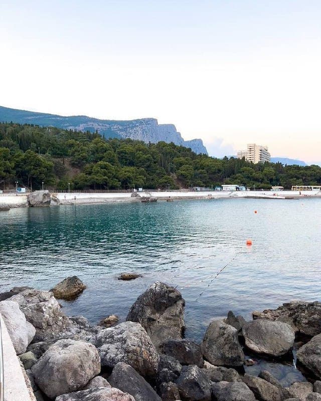 post-cmeq1zoya0006nb1btql0dujy-0