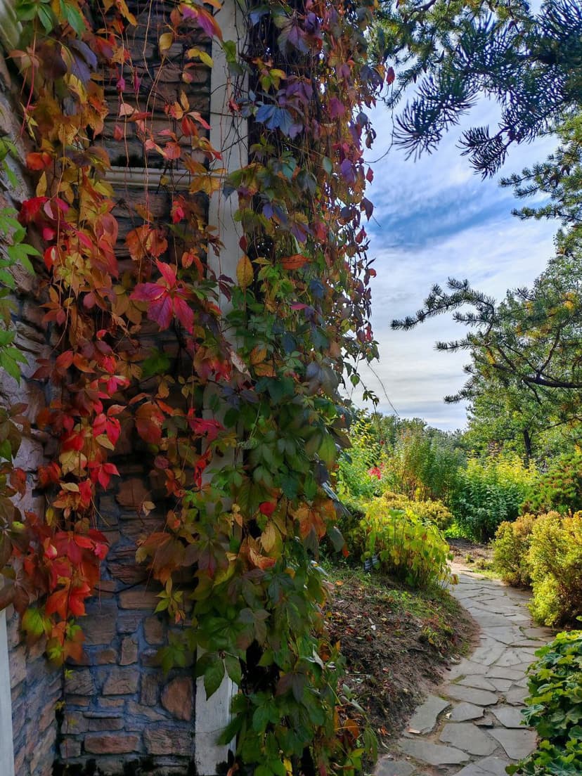 post-cb723d14665fcdbd2644d3552-5