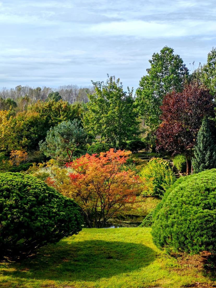 post-cb723d14665fcdbd2644d3552-3