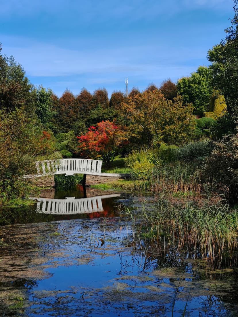 post-cb723d14665fcdbd2644d3552-1