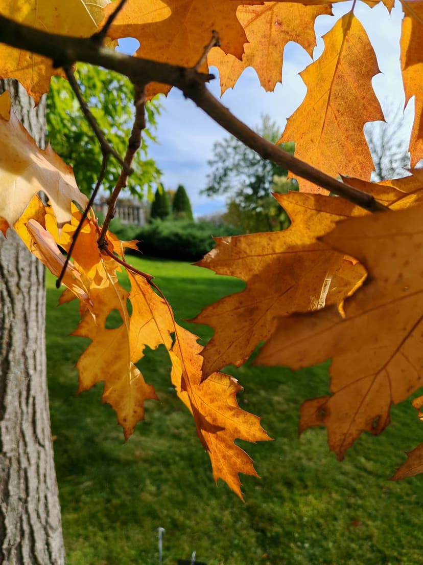 post-cb723d14665fcdbd2644d3552-0