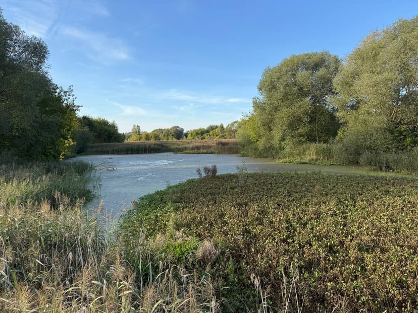 post-c254a5917178cffdb618d1b92-0