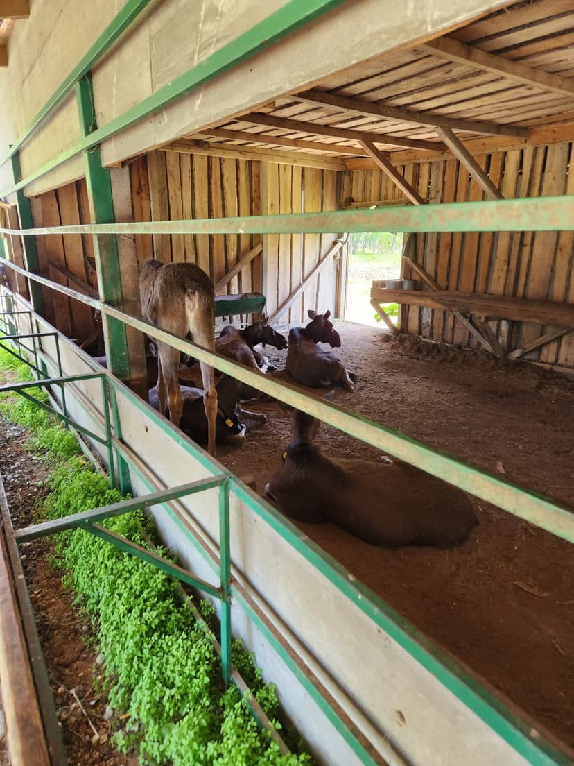 post-ce6275a551c9ca472ab296e67-4