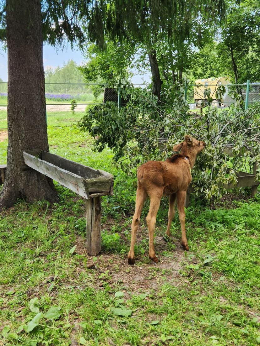 post-ce6275a551c9ca472ab296e67-3