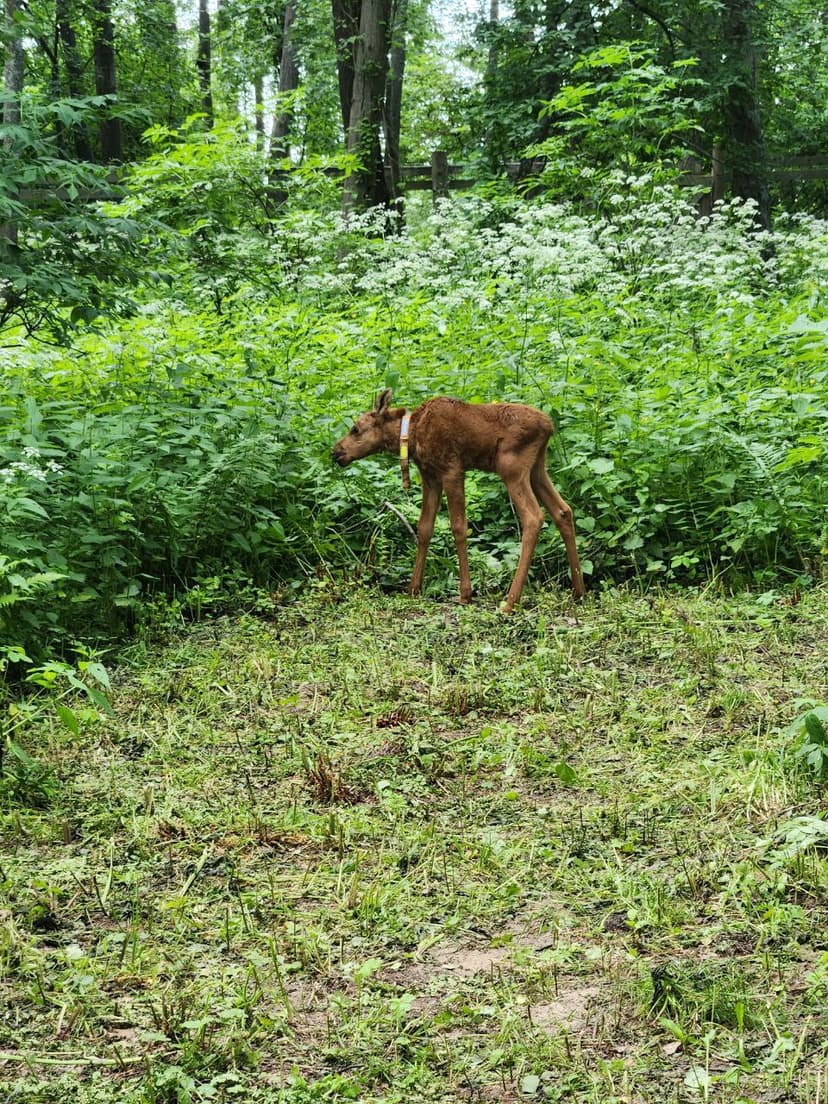 post-ce6275a551c9ca472ab296e67-2