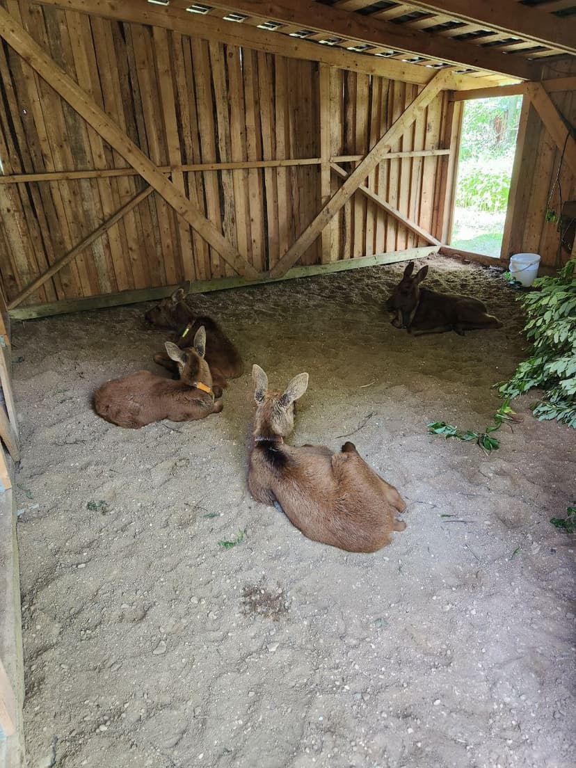 post-ce6275a551c9ca472ab296e67-1