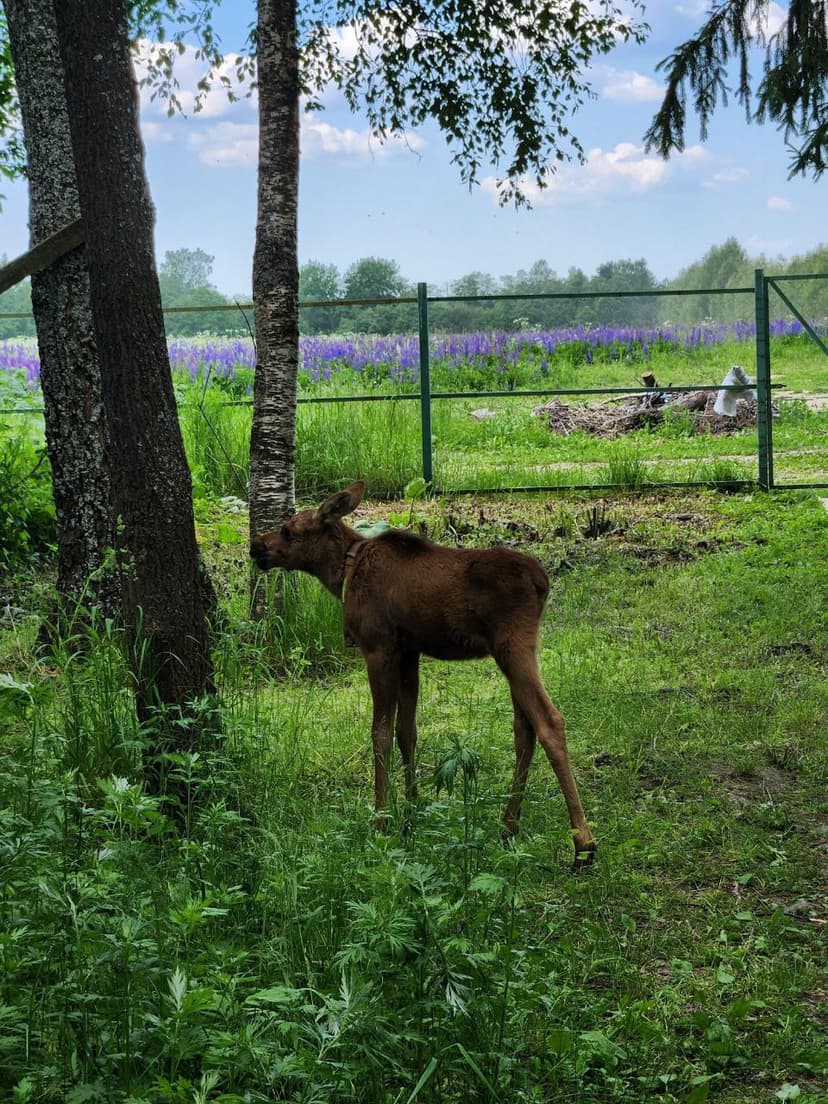 post-ce6275a551c9ca472ab296e67-0