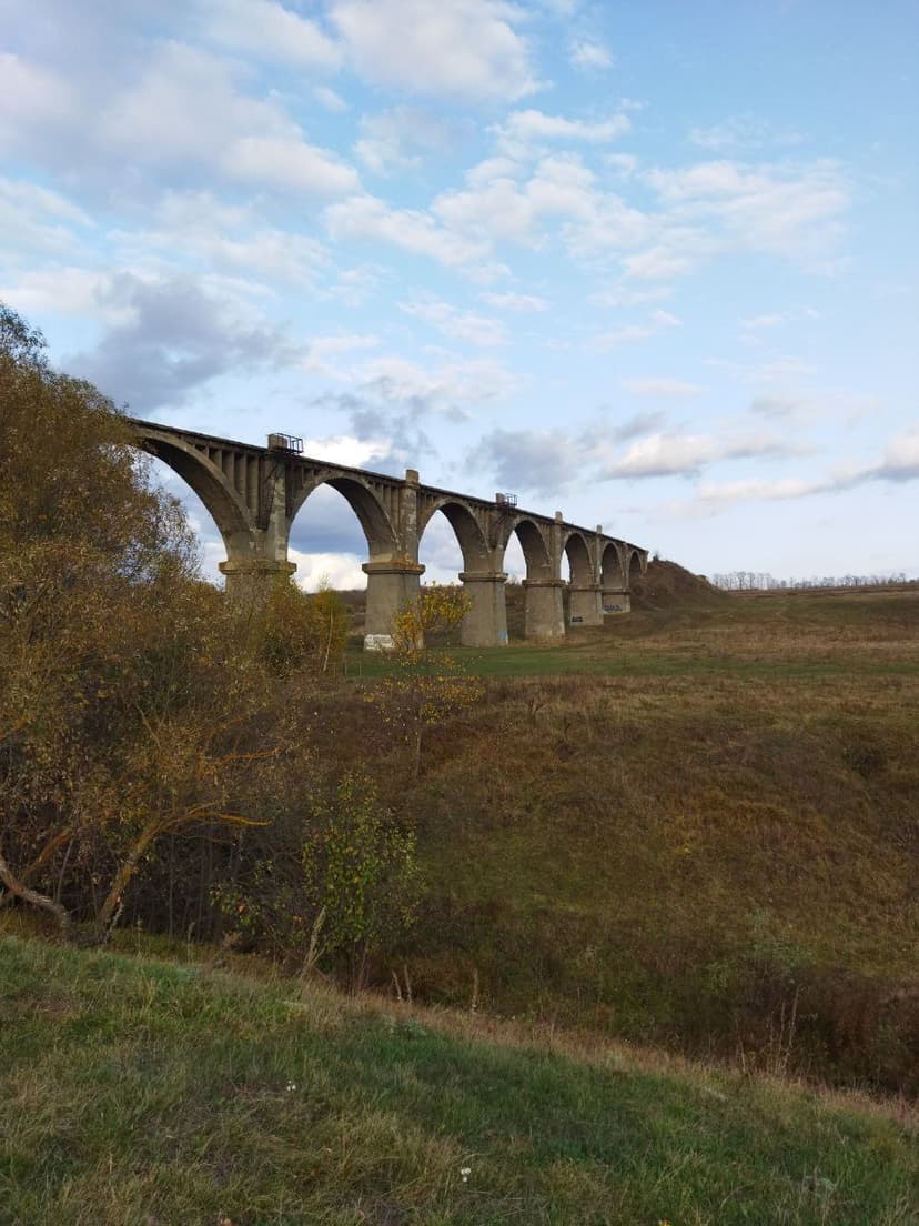 post-c9fe6934a6fedc862cbd79e5e-0