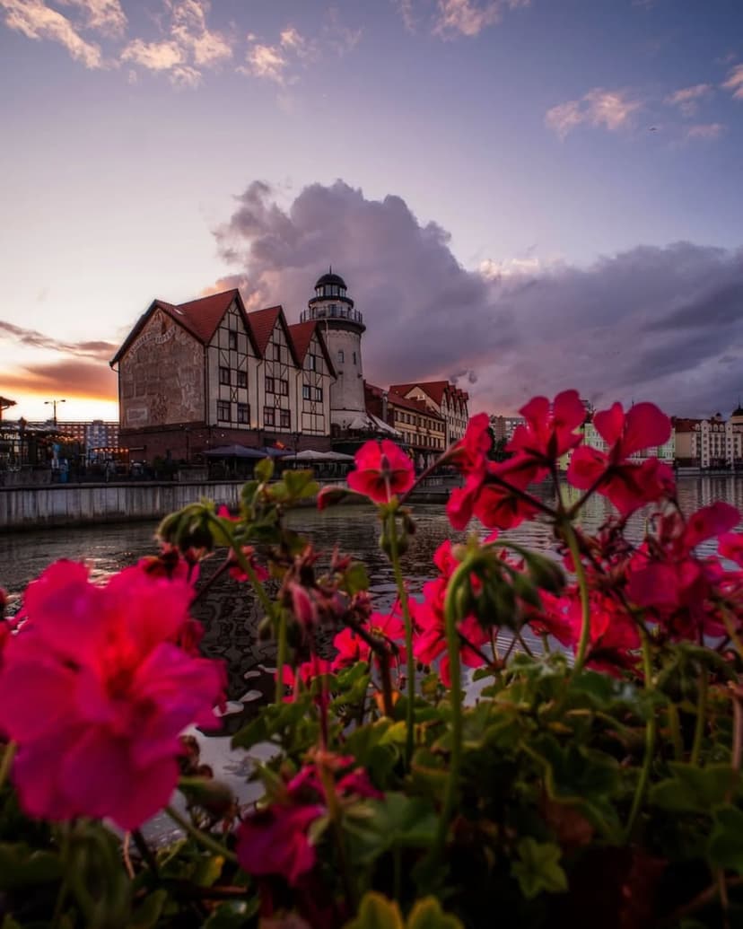 post-cb97829aae2c47e7661f2ff1c-1