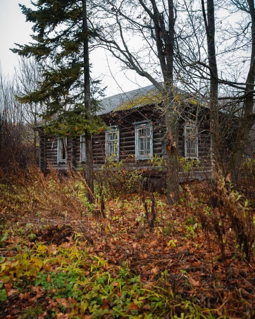 post-c37b21a06b99632aa58917f61-2