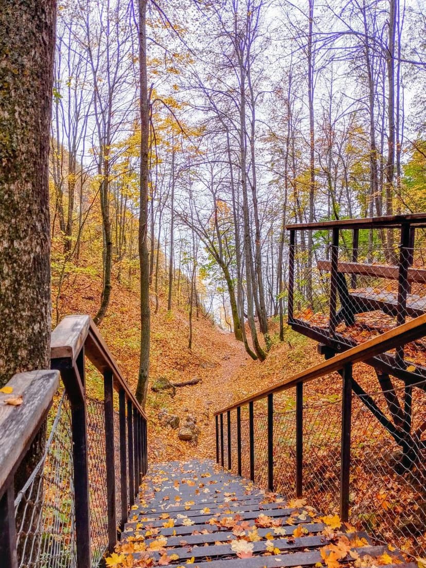 post-c53c0155f370cfb89fe5a655e-0