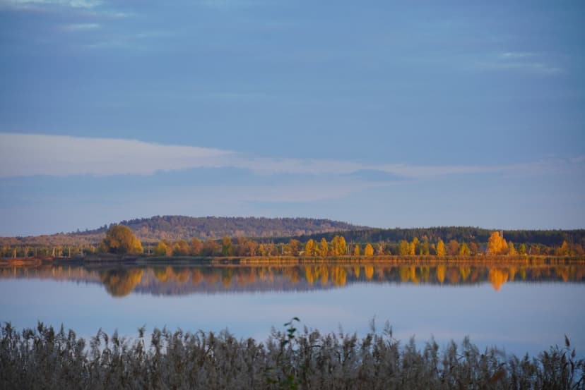 post-cd1d3a2034061000d9e36c92f-1