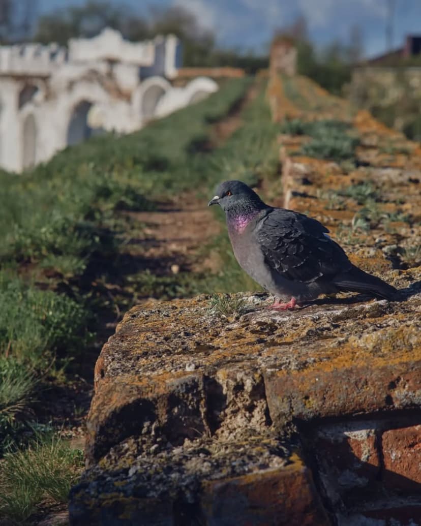 post-c49e8c558e857a442dd84b202-1