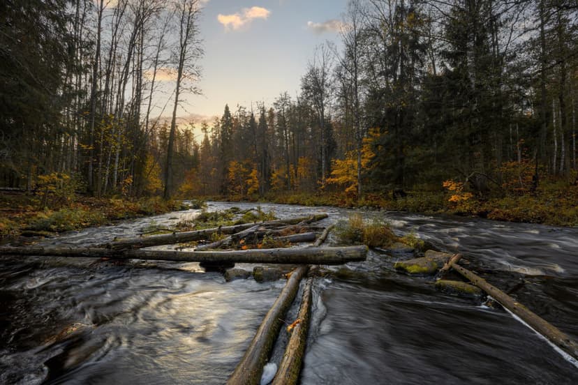 post-c5f279ebf9e9818efaa419014-1