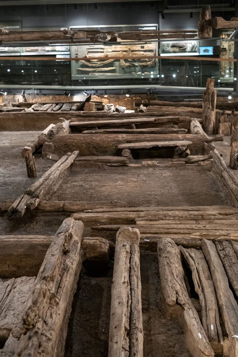 post-cbbf32a83ebf556f638258c81-3