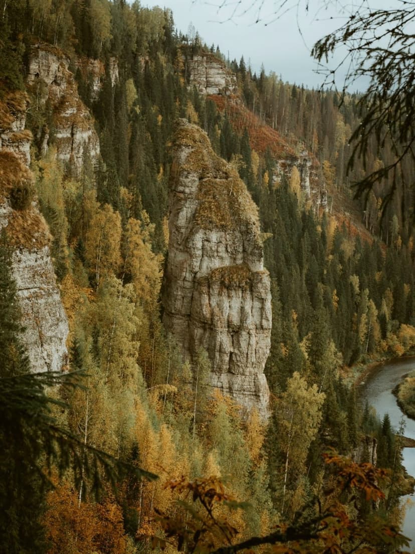 post-c8c2cce8c7bdc856288dbb1e1-2