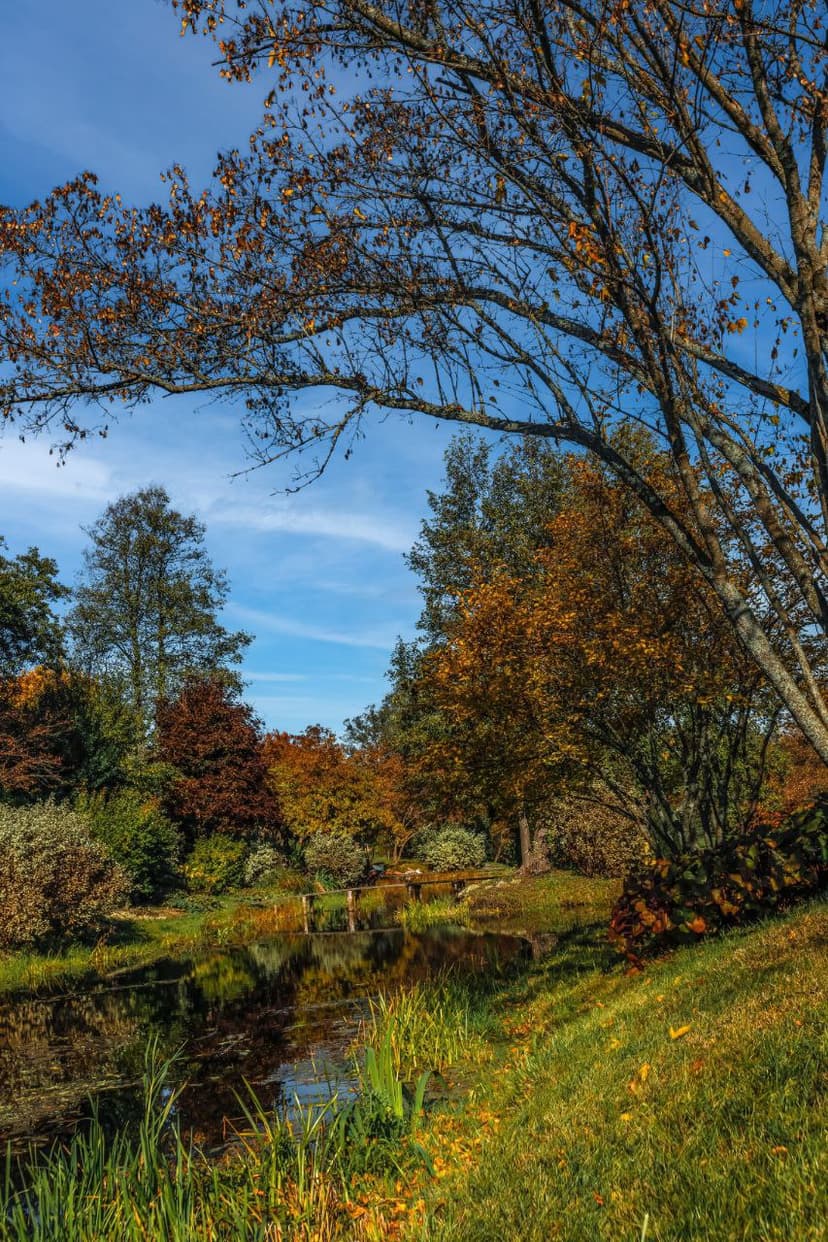 post-c98e423e36f65c60619c4748f-3