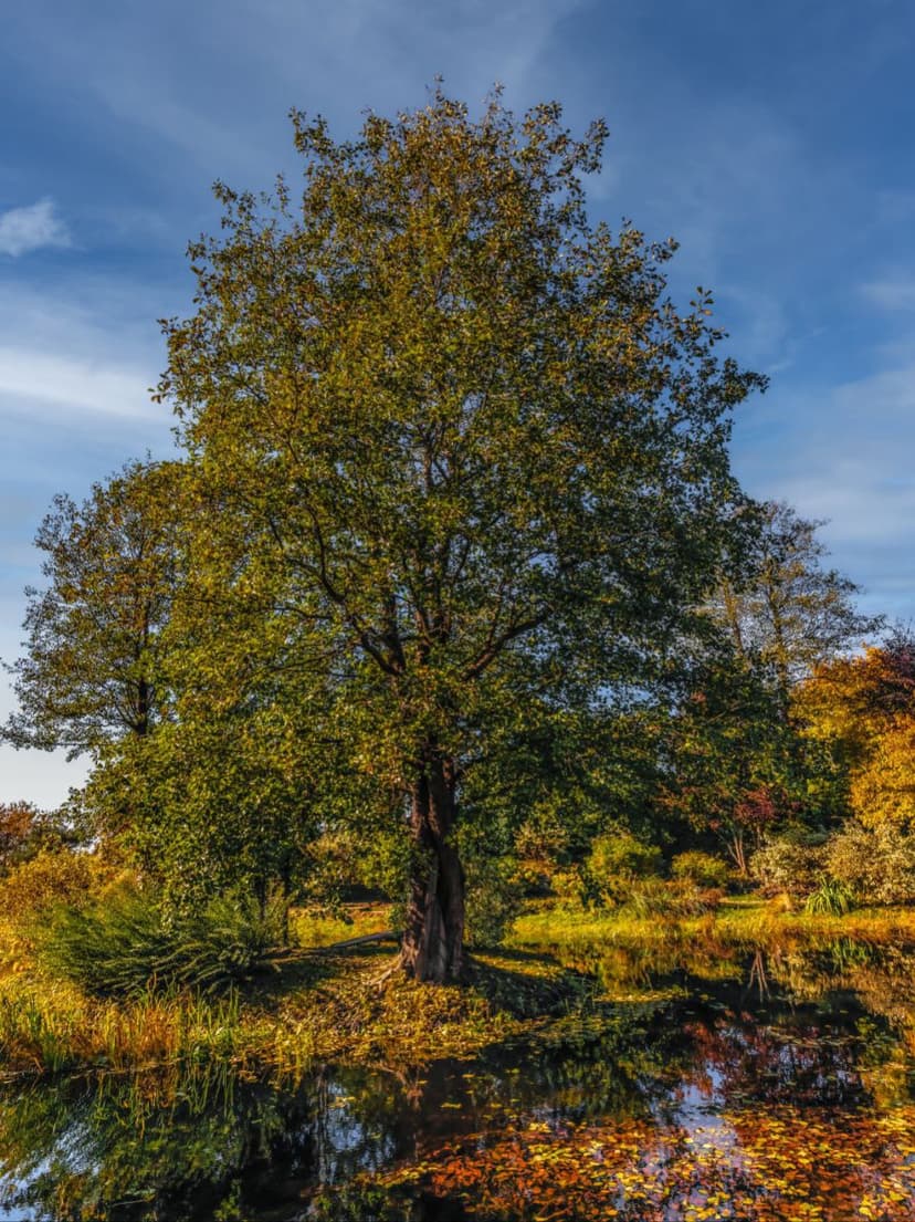 post-c98e423e36f65c60619c4748f-2