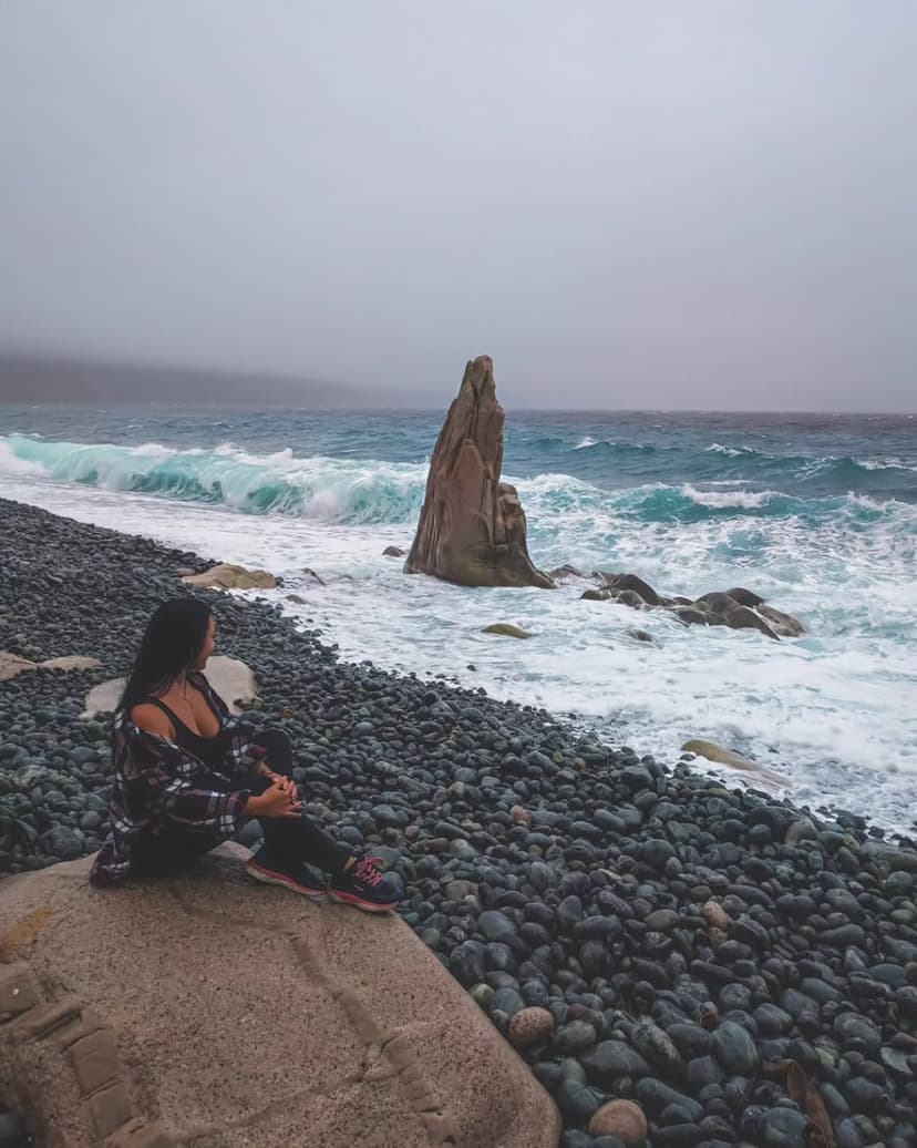 post-c2413e8508ad69fa826e4fb92-2