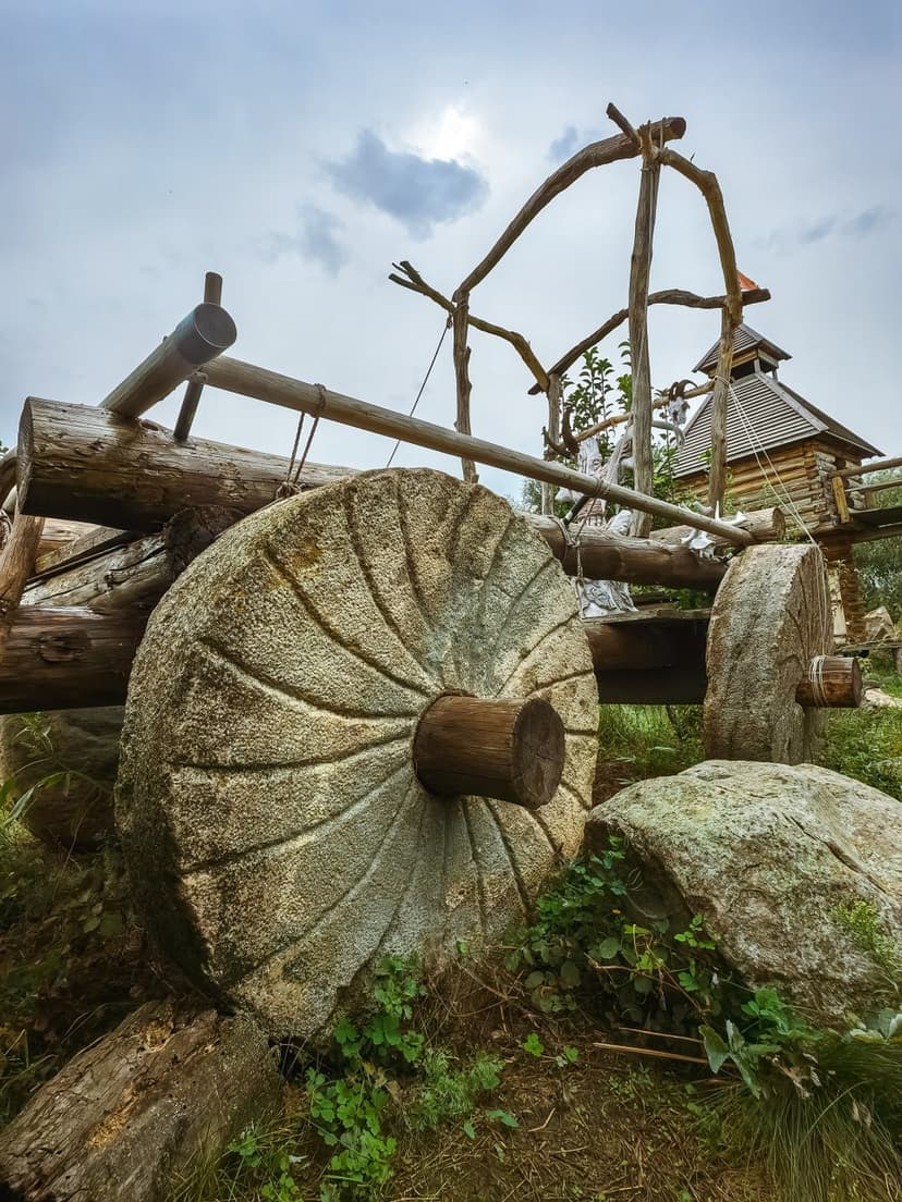 post-ce7082a5c1a3a5d01770750e7-3