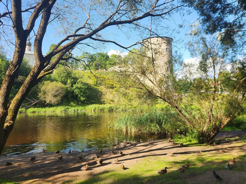 post-c62c9f8c8ea84f0cf86744684-1