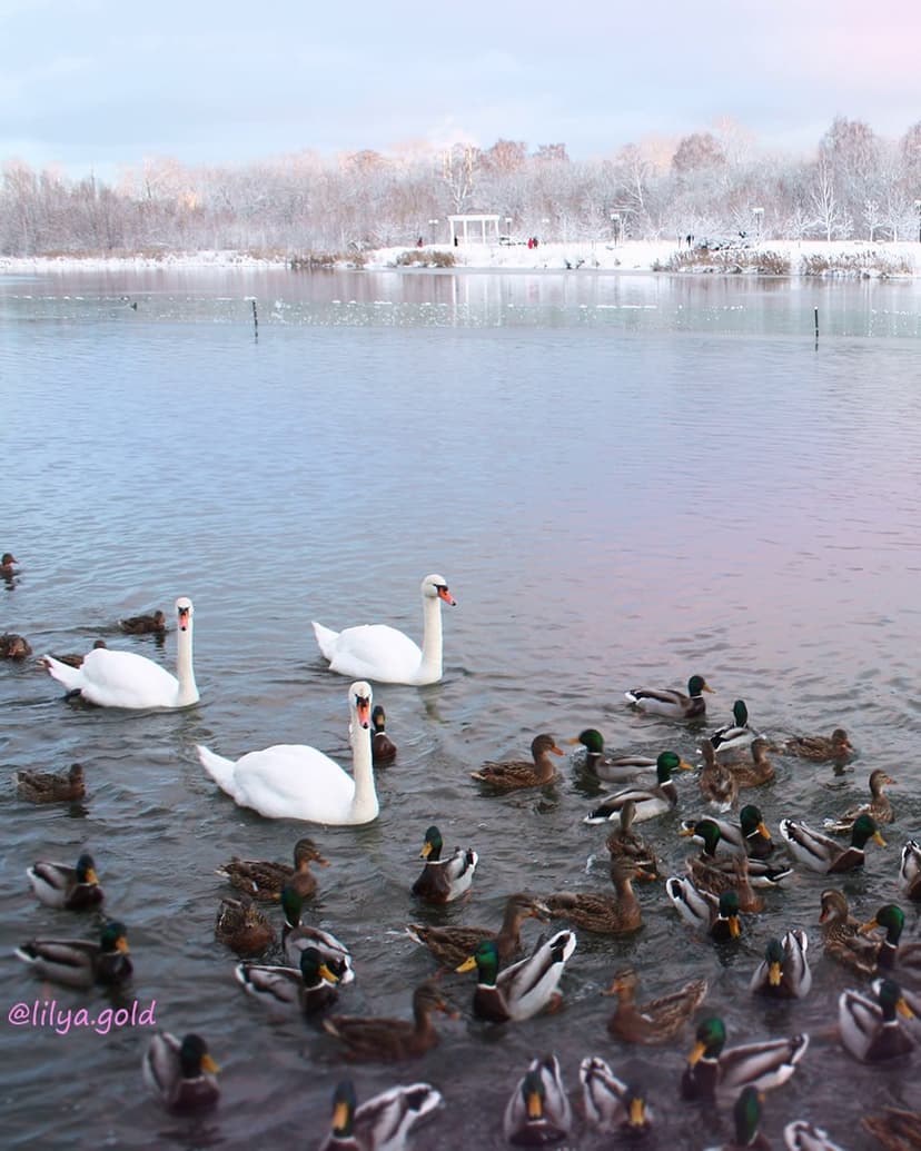 post-c6f2c7825d65b3ee9a2ccfd3f-1