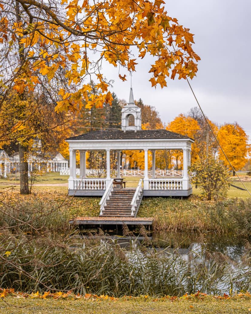 post-cb3011e1cd1d0a3111644466a-2