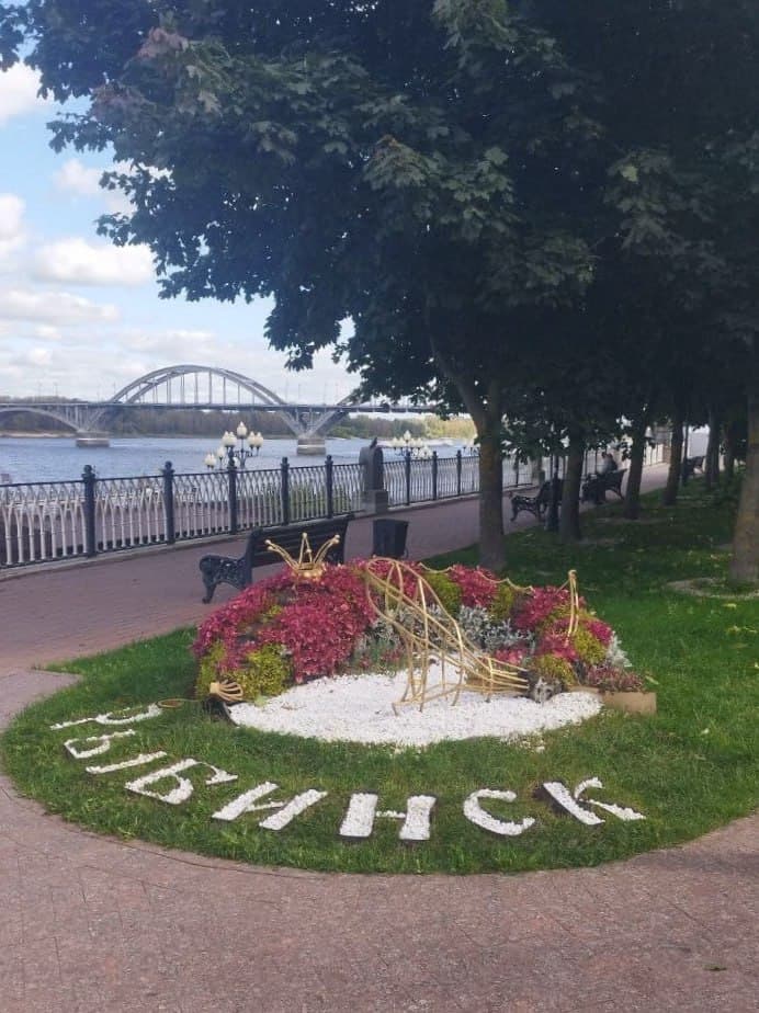 post-c83f7facaa53865148c0c3866-0