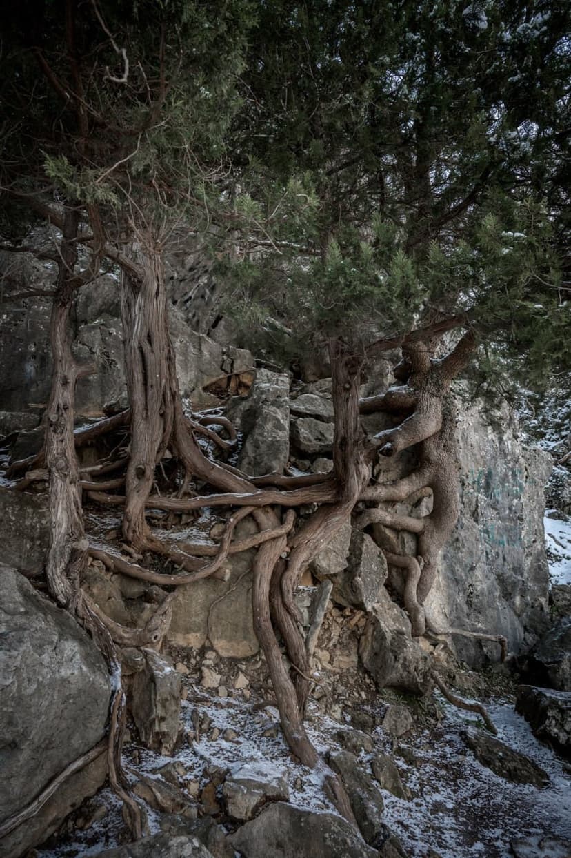 post-c518275b8f28e1817efa22053-4