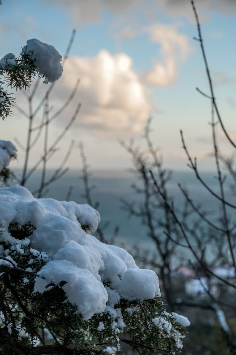 post-c518275b8f28e1817efa22053-1