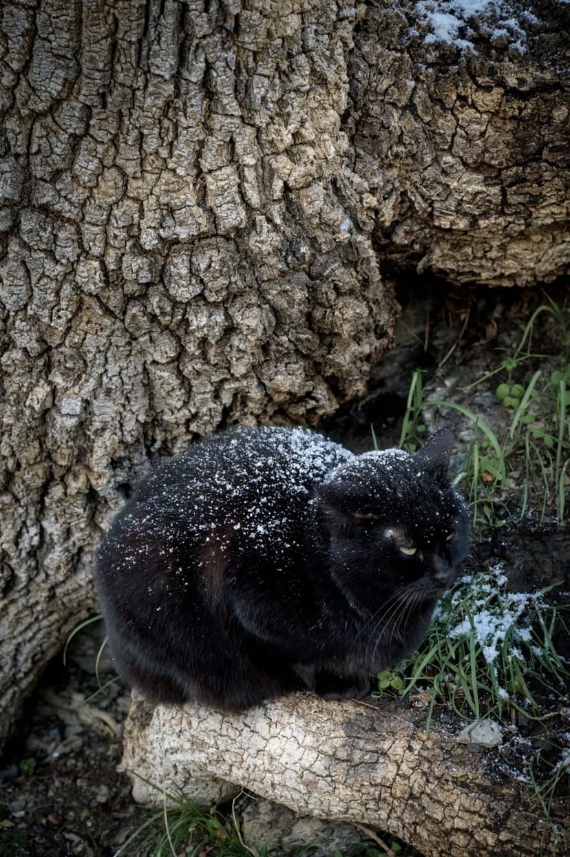 post-c518275b8f28e1817efa22053-0