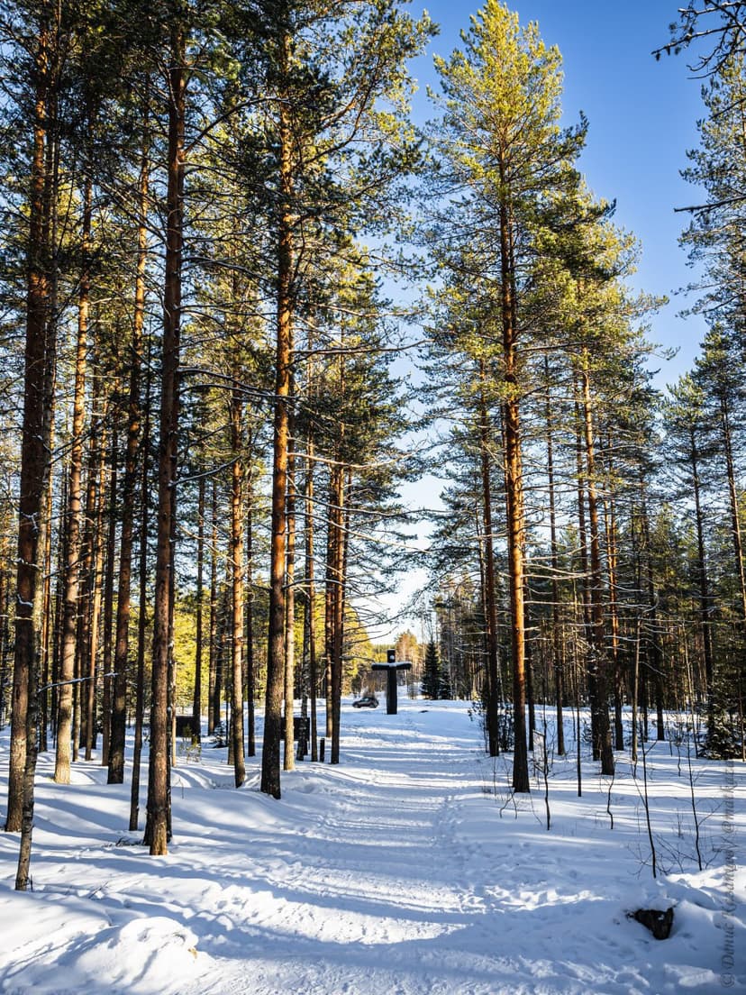 post-c68a39a2c2eef58b3fed5e50d-0