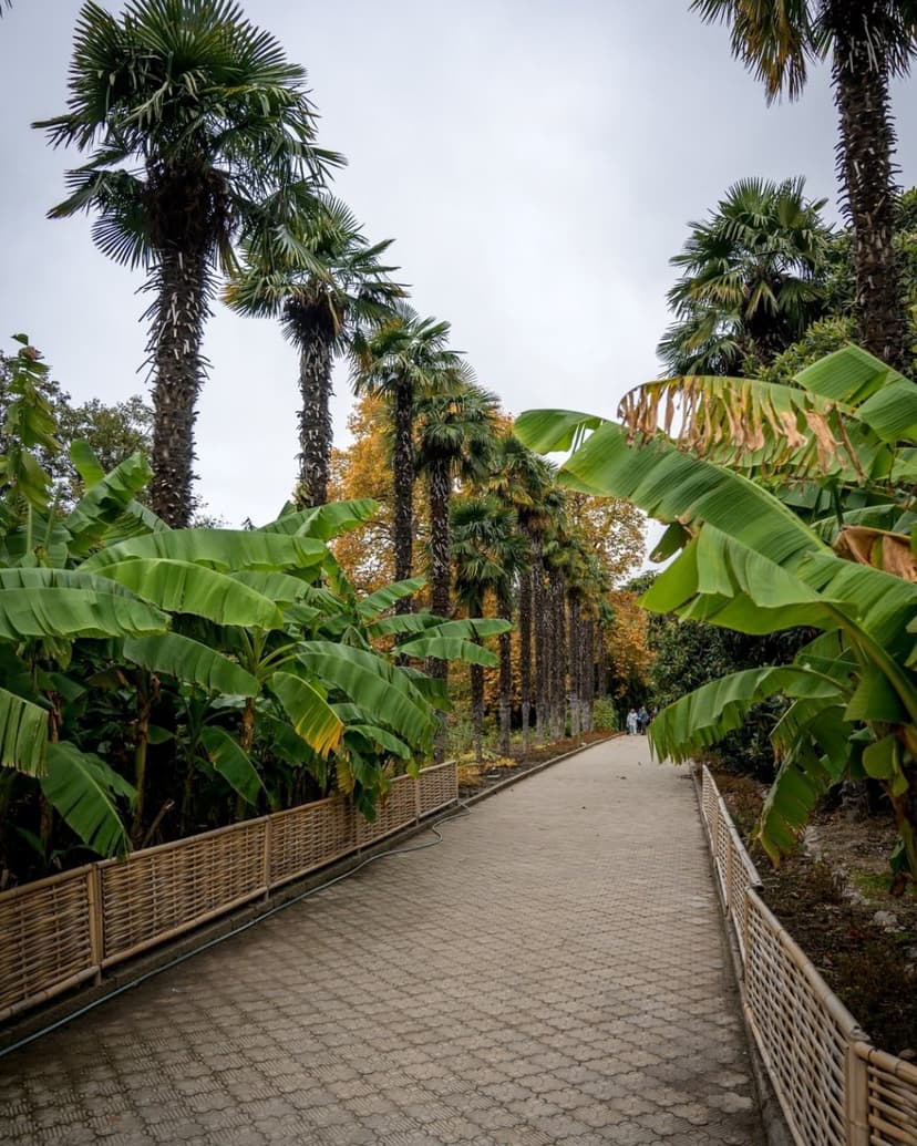 post-c9c06ab1d6f57d4e7f6b35e88-3