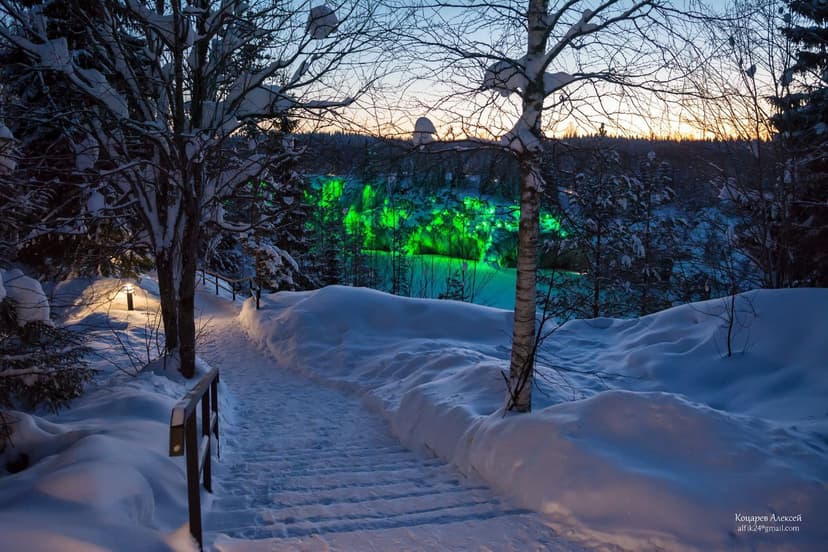 post-c449604d936673e7a36e425e2-1