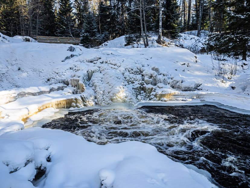 post-ca316a1921e709d981cb8993f-1