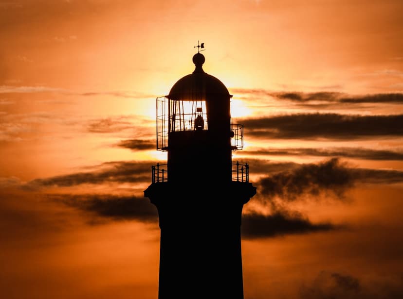 post-c1198fc91e7bc2b1c69897cbf-2