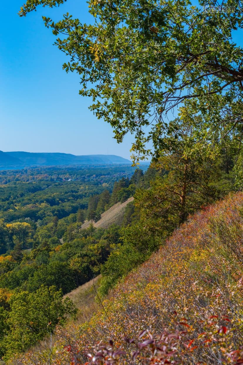 post-cb5efd456cc93dbe14ad8eb5e-1