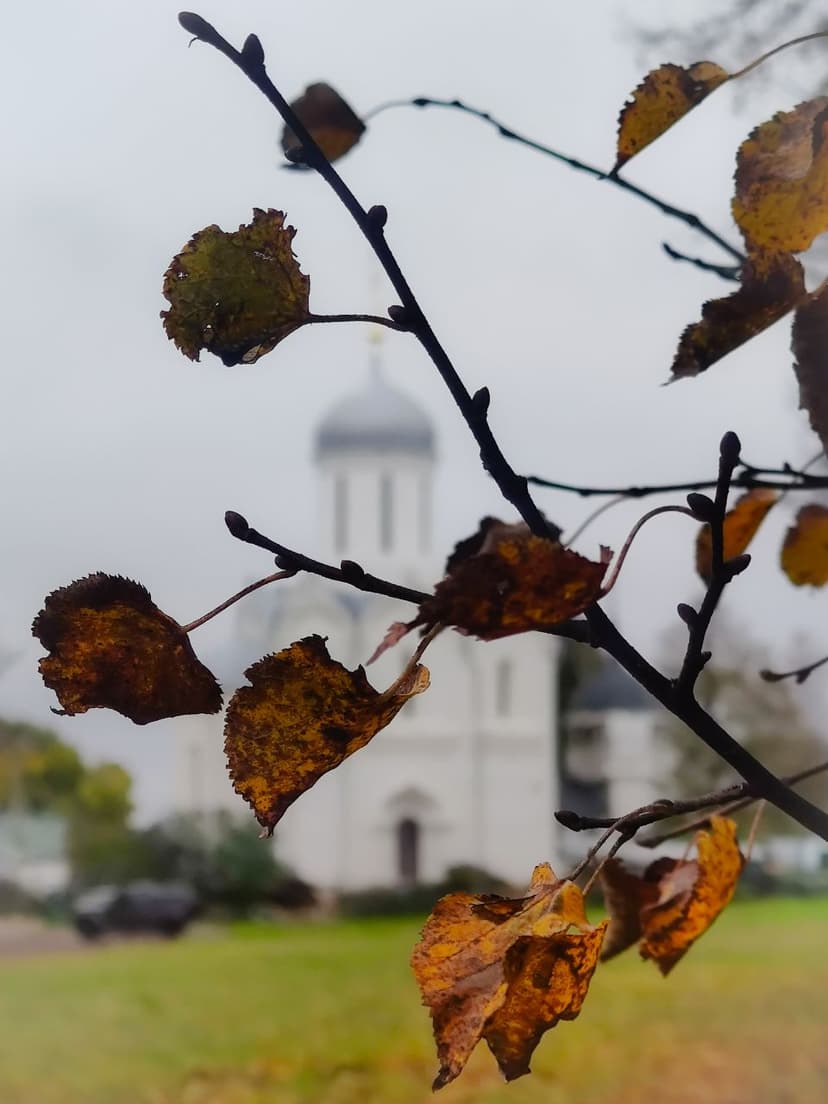 post-c36ca7d708e59f3c65ad1ac6c-2