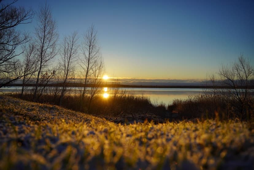 post-c3b1f392935ff2f24fe357625-1