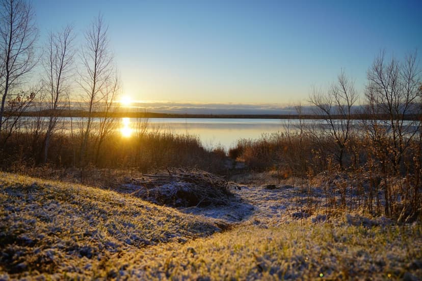 post-c3b1f392935ff2f24fe357625-0