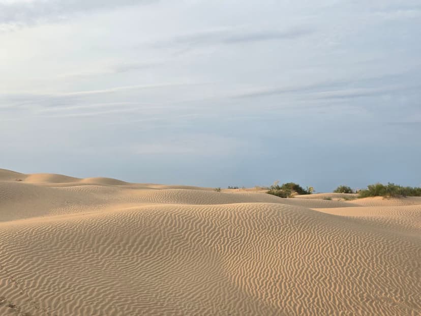 post-cbce4a8d45c78b95f04221721-0