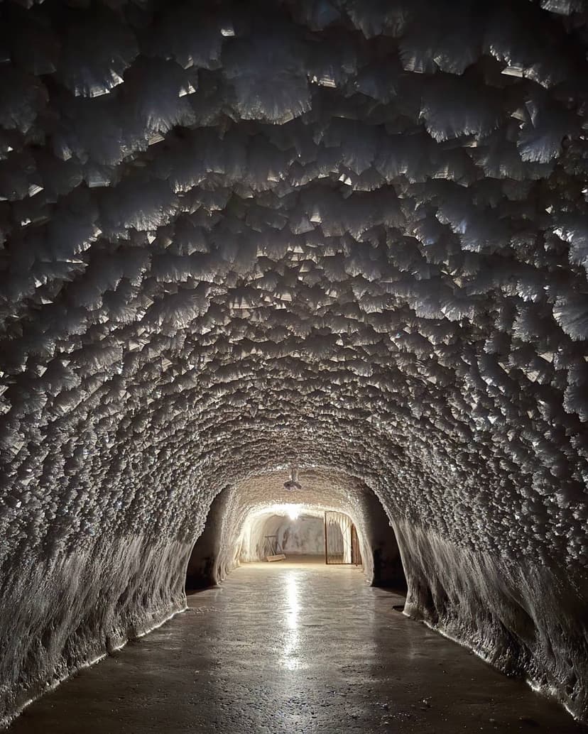 post-c00481ae7d023e5116ee3dc24-1