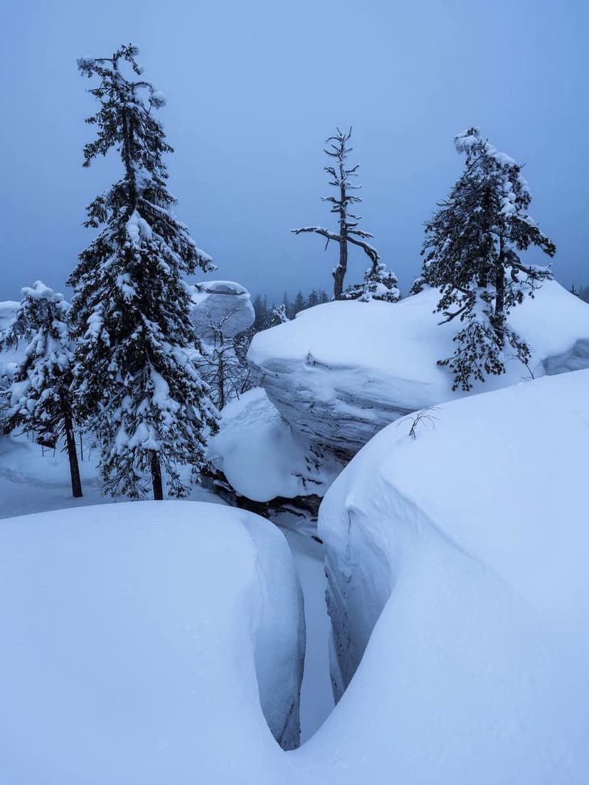 post-ca821696f12eca6340ab98224-0