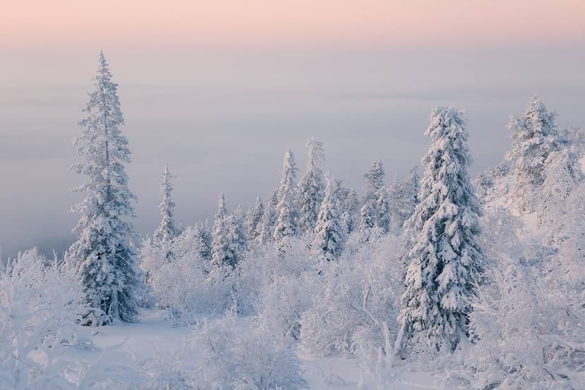 post-c4026f24bcc294ccb421e0429-0